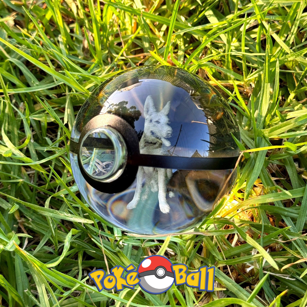 Pet Poké Ball